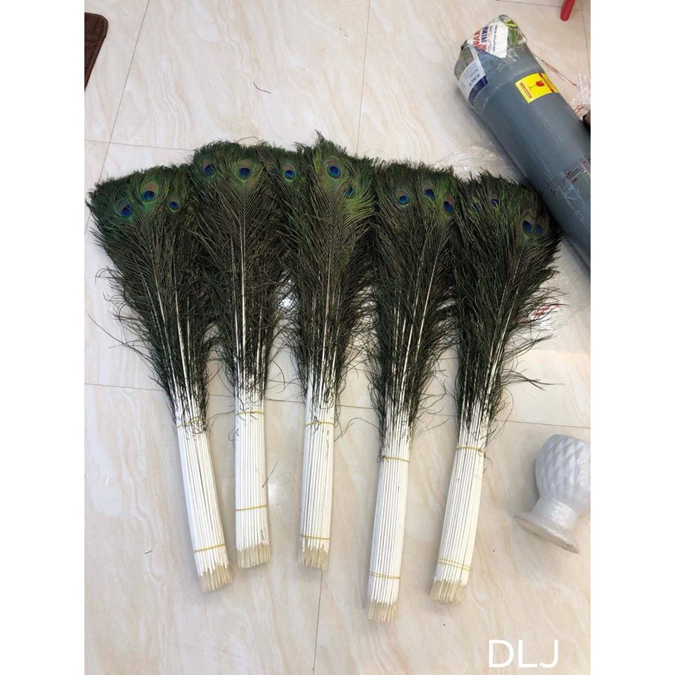 LÔNG PHONG THỦY MAY MẮN ĐỂ ỐP ĐIỆN THOẠI