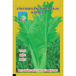 Hạt Giống Cải Canh Lá Xẻ Lai F1 (VA.34) Cải Mèo – 20gram
