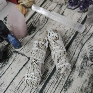 Xô thơm trắng - California White Sage - Dùng thanh tẩy