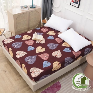 Ga trải giường, bọc nệm thun lạnh 180cm x 200cm - giao màu ngẫu nhiên