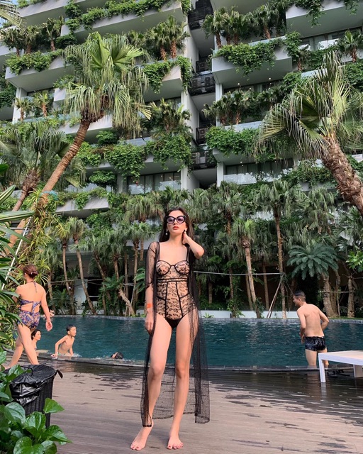 Bộ bơi nữ cao cấp , bikini liền mảnh cup ngực ren sang chảnh