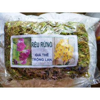 Rêu Rừng  giá thể Trồng Lan- 100g