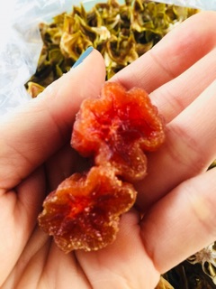 Hồng treo công nghệ Nhật Bản