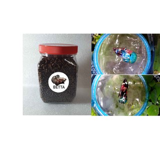 Cám (-m) betta mái GALAXY - Thức ăn cho cá.