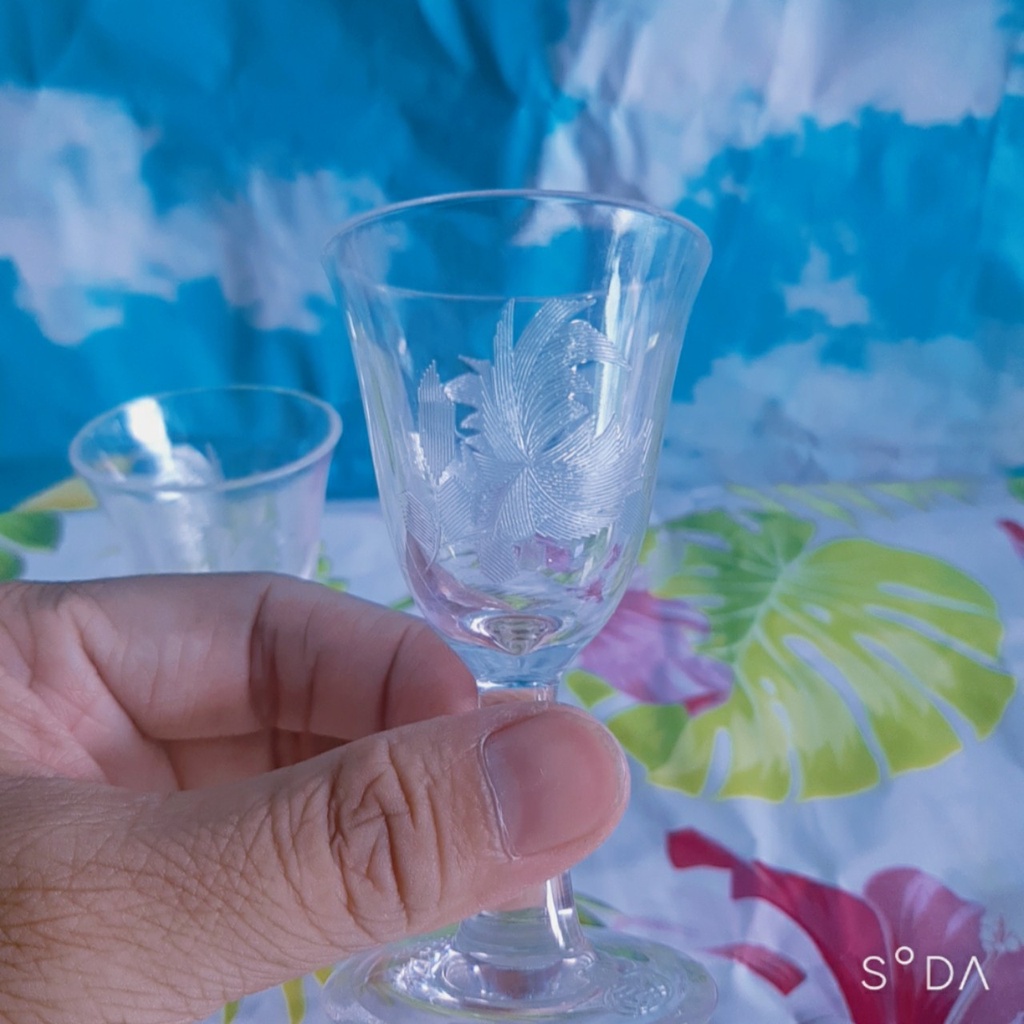 Ly Nhựa ARYLIC LK08  Sang Trọng -Cao Cấp