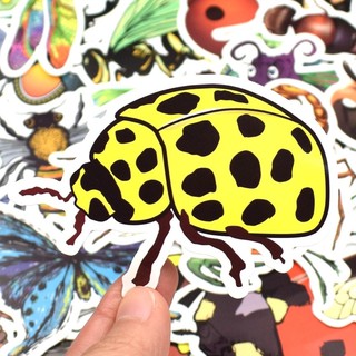 Stiker côn trùng 30-60 decal ép lụa bóc dán/ hình dán côn trùng