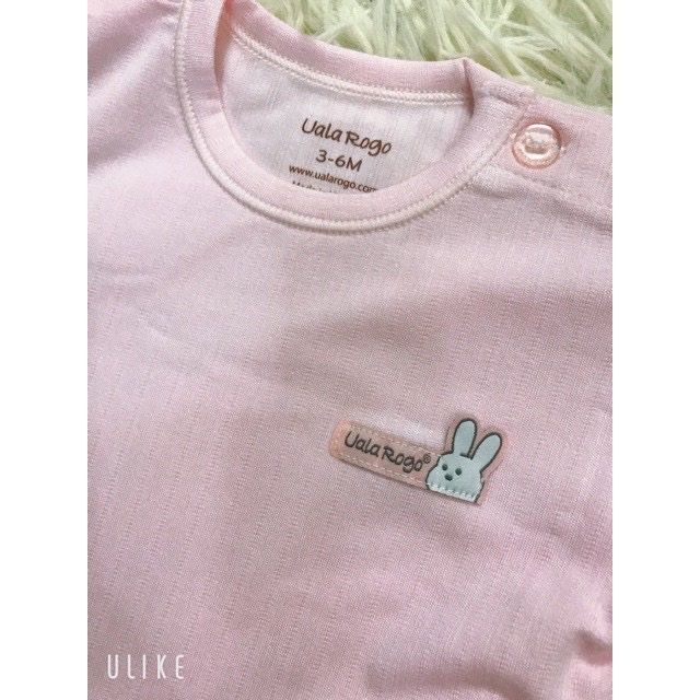 Ba lỗ gỗ sồi Ual rogo