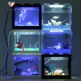 Bể cá mini có đèn LED
