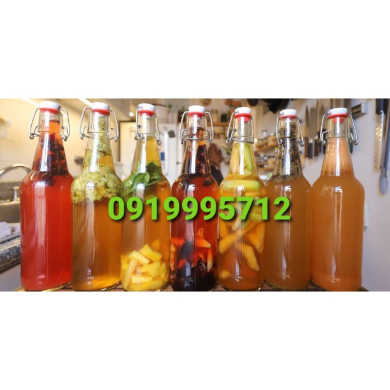 NẤM THỦY SÂM KOMBUCHA LÊN MEN TRÀ VÀ ĐƯỜNG MÍA/ MẬT ONG CÓ GA THƠM NGON