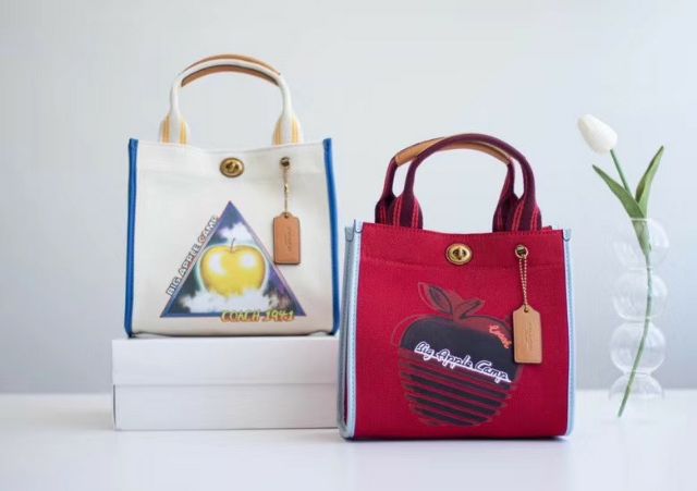 TÚI COACH BỐ PHỐI DA THẬT, HÀNG DƯ XIN AUHTH