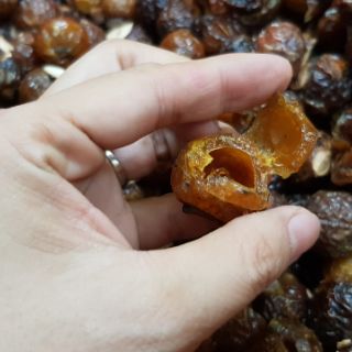 bồ hòn loại 1