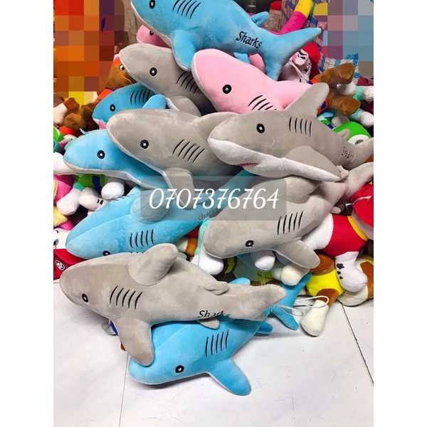 Gấu Bông CÁ MẬP Baby Shark 35cm Cao Cấp,Chất Miniso Xịn Xò