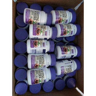 Chế phẩm kích rễ Rooting Powder 35gr