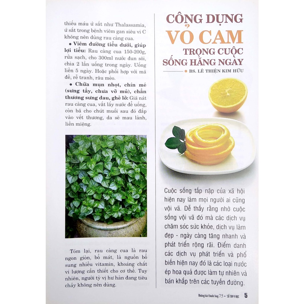 Sách Sổ Tay Y Học - Những Bài Thuốc Hay 75