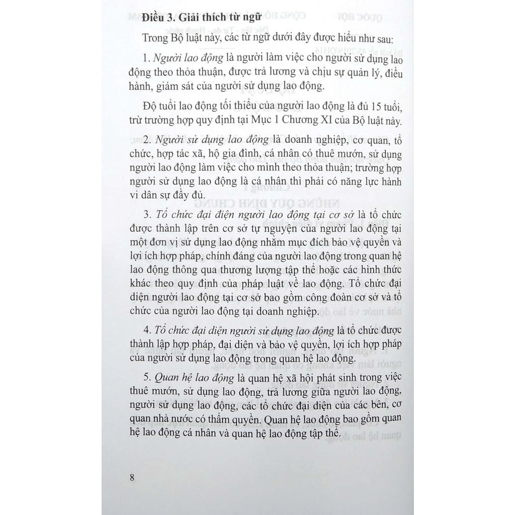Sách - Bộ Luật Lao Động (Song Ngữ Anh-Việt)