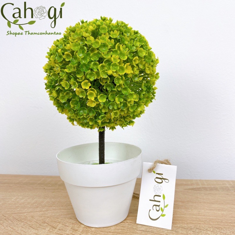 Cây giả - Chậu cây cẩm tú cầu siêu đẹp