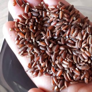 Gạo lứt đỏ Kon Tum 1kg