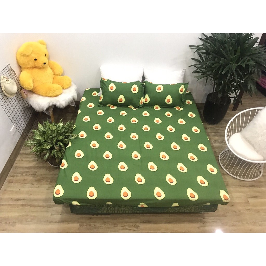 Bộ ga chun và 2 áo gối nằm Emmideocr - mẫu quả bơ, drap cotton poly