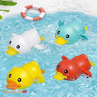 CON VỊT BƠI DƯỚI NƯỚC VẶN CÓT