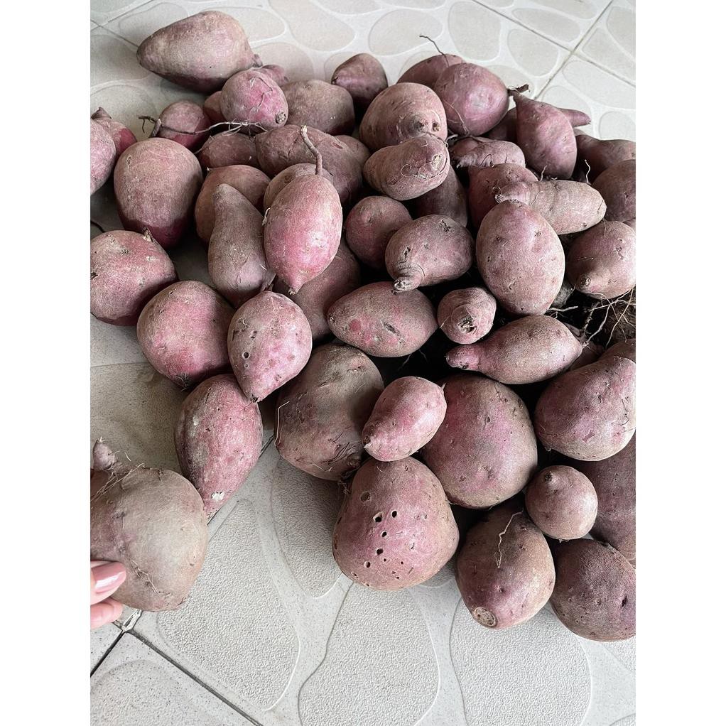 [Chỉ Giao HCM] - Khoai lang tím 1kg