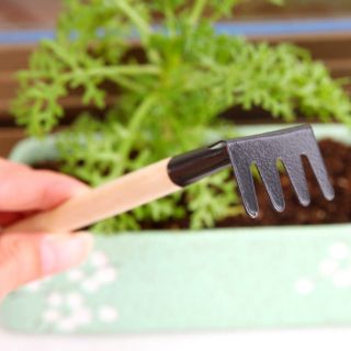 Bộ dụng cụ làm vườn mini