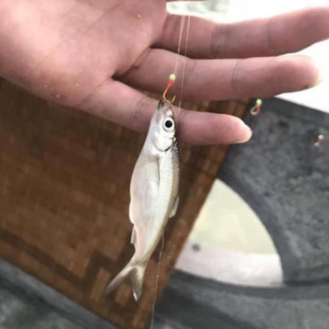 FREESHIP  Bộ Thẻo 7 lưỡi câu cá mương hồ siêu nhạy có rọ sắt LC-12