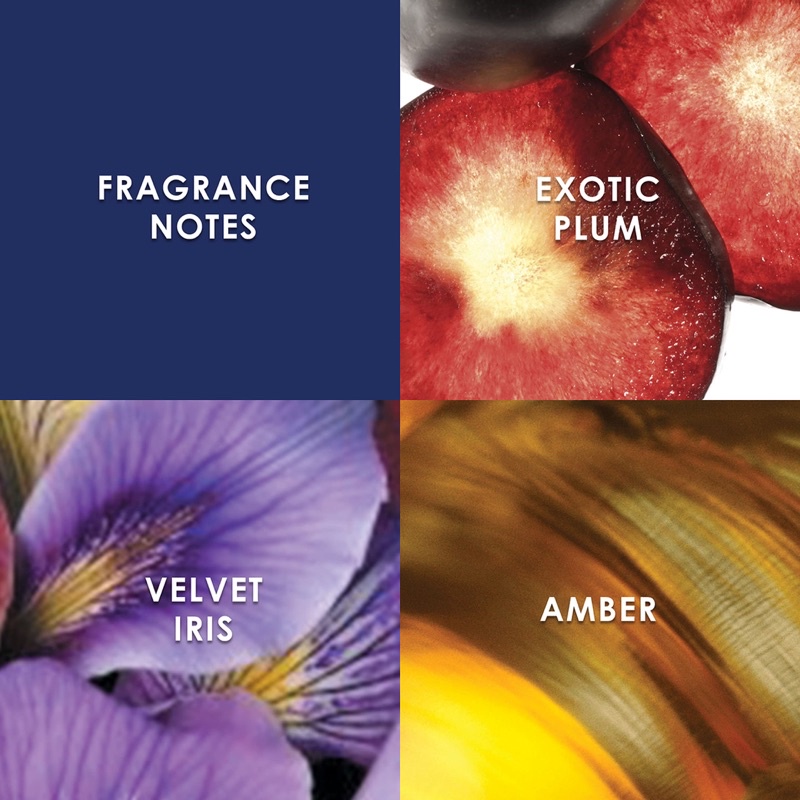 Nước Hoa Britney Spears Midnight Fantasy - Nước hoa nữ mùi nhẹ thơm lâu 100ML