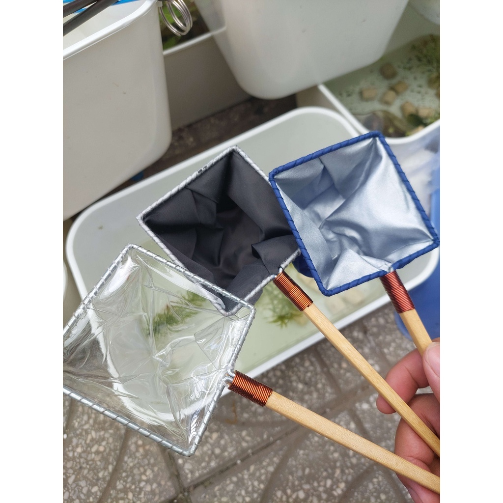 Vợt show cá 7 màu, betta