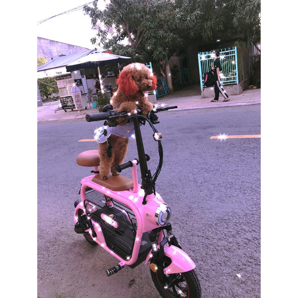 XE ĐIỆN LIHAZE HOTGIRL