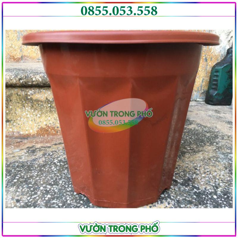 Chậu nhựa E350 loại 1 kt 32x30cm (to nhất trong dòng chậu E)