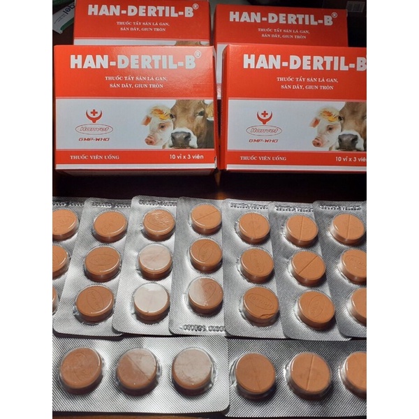 Han Dertin tẩy sán lá gan hiệu quả, 1 vỉ 3 viên