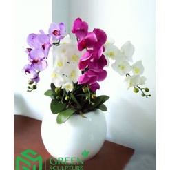 Hoa Giả - Cành Lan Hồ Điệp Lá Xốp Cao Cấp Cắm Chậu, Cắm Bình Trang Trí Nhà Cửa Siêu Đẹp | Hà Hoa Flower