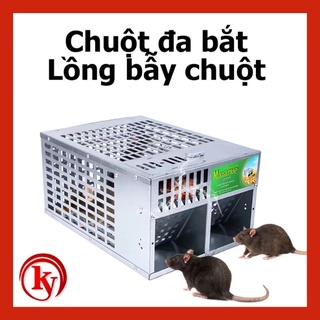 🔥🔥🔥Bẫy chuột liên hoàn thông minh hai cửa🔥Bẫy Chuột , Bắt Chuột - Dễ sử dụng - Hiệu quả Cao - Nhạy cảm