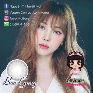 Lens xám Hàn Quốc Bee gray có cận