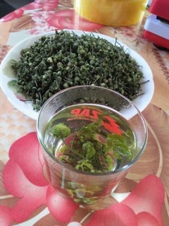 ☘️🌿NỤ HOA TAM THẤT 🍀☘️