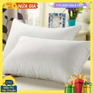 Combo 2 ruột gối bông hạt cao cấp