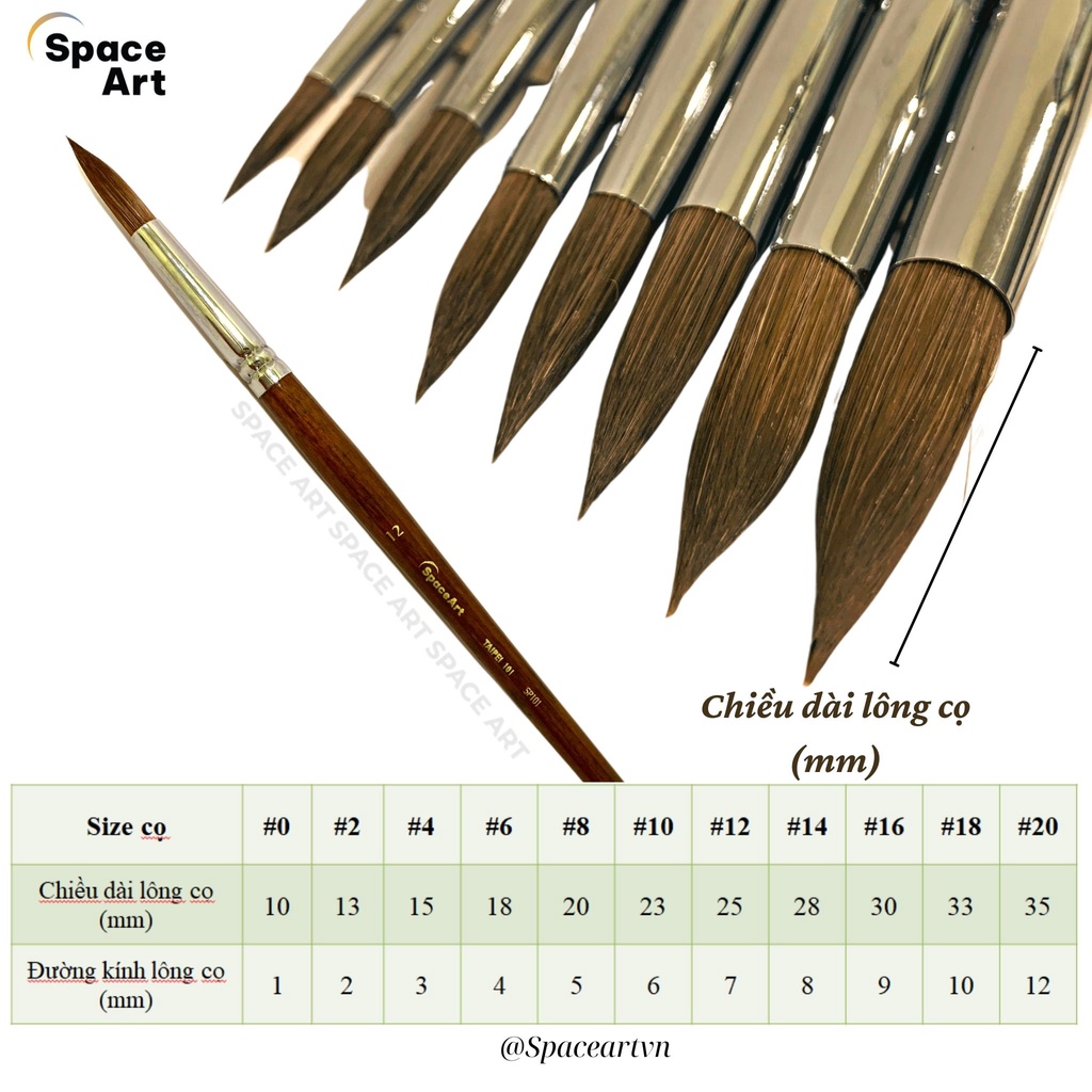 Cọ vẽ Nhọn Tròn Lông Chồn Space Art Taipei SP101 vẽ màu nước, acrylic, màu bột,sơn dầu