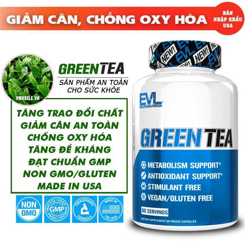 Green Tea (trà xanh) hỗ trợ giảm cân an toàn, hiệu quả và chống oxy hóa tốt