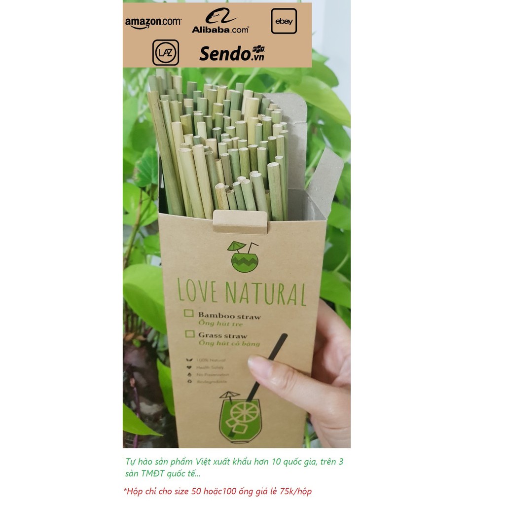 Ông hút cỏ bàng/tre khắc Laze (quà tặng) xuất khẩu Châu Âu (combo 500 ống) Love natural để được 12 tháng Bamboo straw