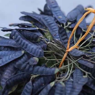 Quả bồ kết ta 1kg/159k