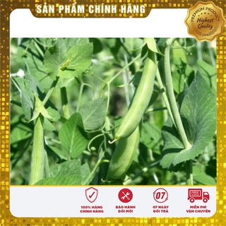 Hạt Giống Đậu Hà Lan(50gr)