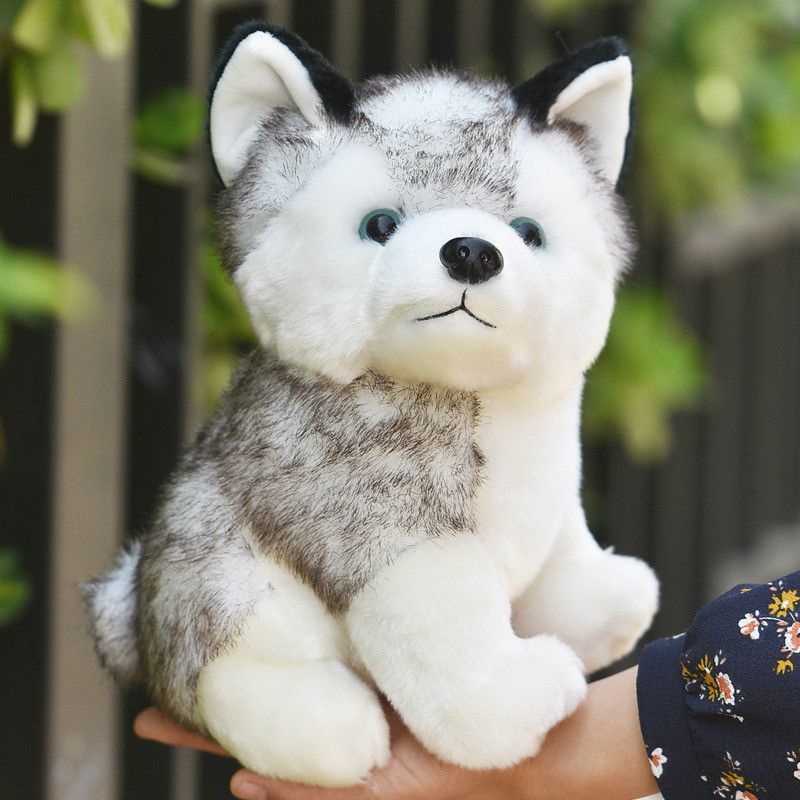 Chó Husky Nhồi Bông Mềm Mại Dễ Thương