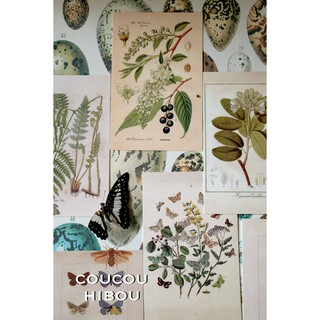 POSTCARD 30 TẤM- BIOLOGY BOOK- SÁCH CŨ