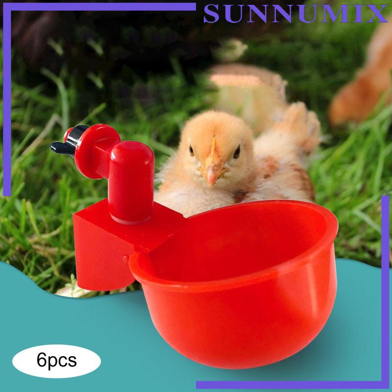 Set 6 Cốc Uống Nước Tự Động Cho Gà Tiện Dụng