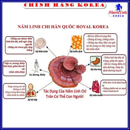 Nấm Linh Chi Thái Lát Hàn Quốc Chính Hãng, Túi 1kg