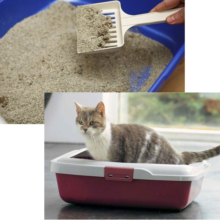 Khay Vệ Sinh Cho Mèo