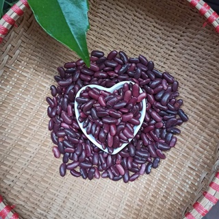 Đậu thận đỏ