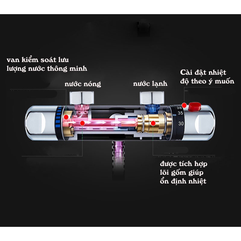 Vòi sen tự điều chỉnh nhiệt độ đẹpmãi  DM274