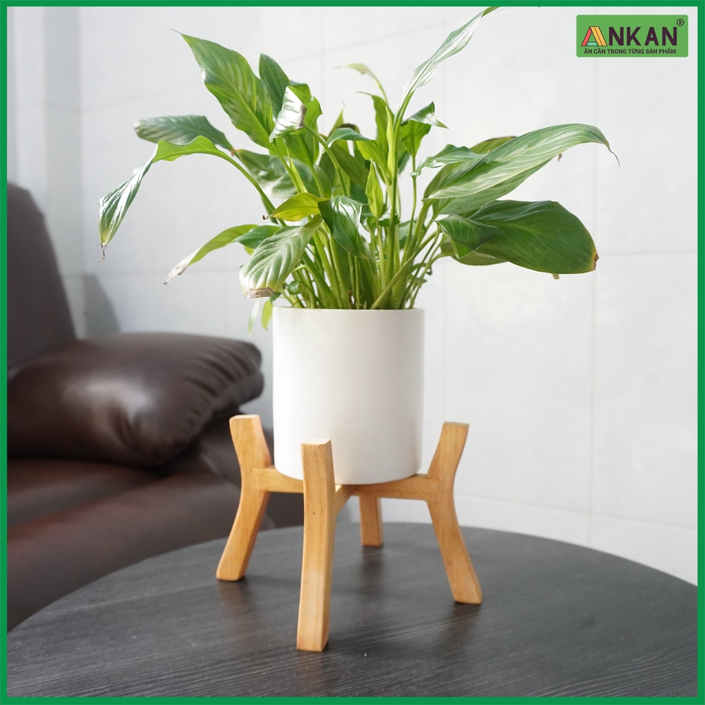 Đôn Chậu Cây Mini Phong Cách Hiện Đại Phù Hợp Chậu Cây Nhỏ Để Bàn Làm Việc Đường Kính 14cm