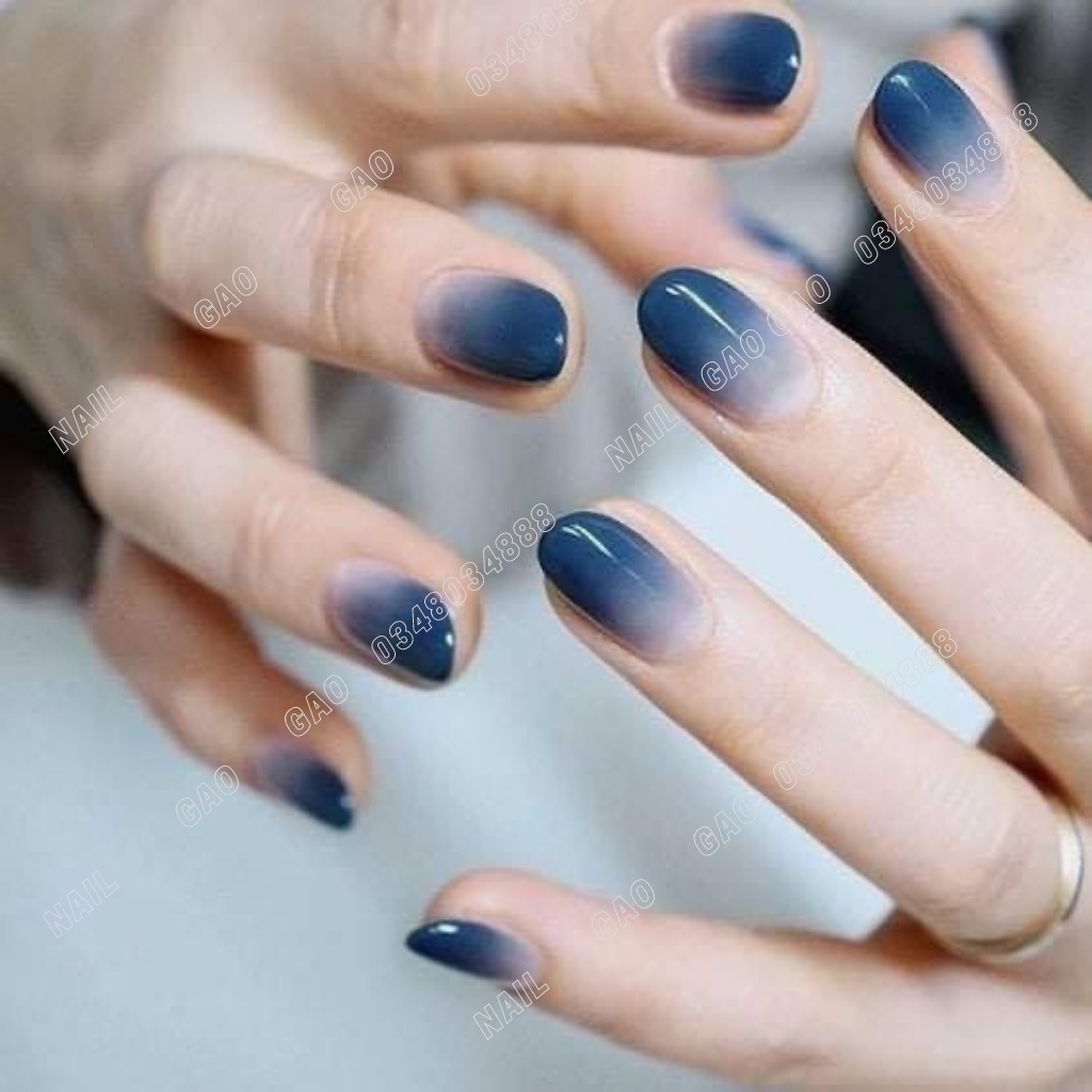 Cọ omber cán gỗ đầu tròn